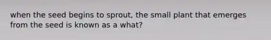 when the seed begins to sprout, the small plant that emerges from the seed is known as a what?