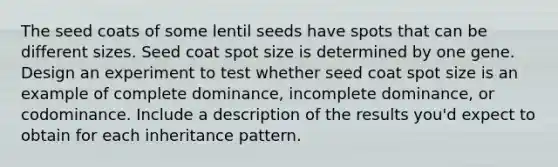 The seed coats of some lentil seeds have spots that can be different sizes. Seed coat spot size is determined by one gene. Design an experiment to test whether seed coat spot size is an example of complete dominance, incomplete dominance, or codominance. Include a description of the results you'd expect to obtain for each inheritance pattern.