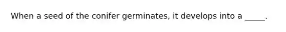 When a seed of the conifer germinates, it develops into a _____.