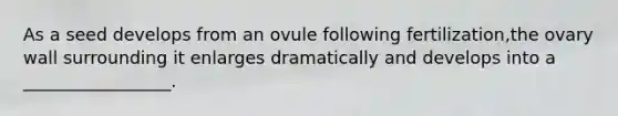 As a seed develops from an ovule following fertilization,the ovary wall surrounding it enlarges dramatically and develops into a _________________.