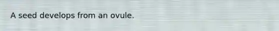 A seed develops from an ovule.