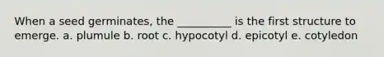 When a seed germinates, the __________ is the first structure to emerge. a. plumule b. root c. hypocotyl d. epicotyl e. cotyledon