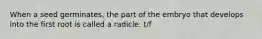 When a seed germinates, the part of the embryo that develops into the first root is called a radicle. t/f