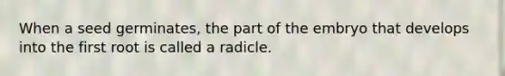 When a seed germinates, the part of the embryo that develops into the first root is called a radicle.