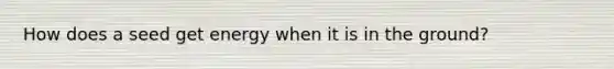 How does a seed get energy when it is in the ground?
