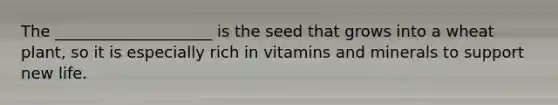 The ____________________ is the seed that grows into a wheat plant, so it is especially rich in vitamins and minerals to support new life.