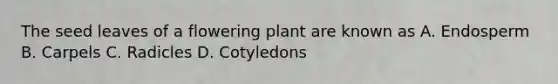 The seed leaves of a flowering plant are known as A. Endosperm B. Carpels C. Radicles D. Cotyledons