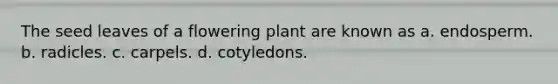 The seed leaves of a flowering plant are known as a. endosperm. b. radicles. c. carpels. d. cotyledons.