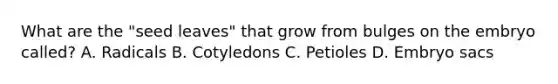 What are the "seed leaves" that grow from bulges on the embryo called? A. Radicals B. Cotyledons C. Petioles D. Embryo sacs