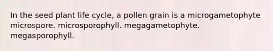 In the seed plant life cycle, a pollen grain is a microgametophyte microspore. microsporophyll. megagametophyte. megasporophyll.