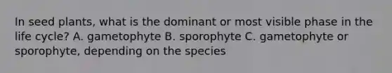 In seed plants, what is the dominant or most visible phase in the life cycle? A. gametophyte B. sporophyte C. gametophyte or sporophyte, depending on the species