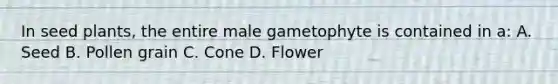 In seed plants, the entire male gametophyte is contained in a: A. Seed B. Pollen grain C. Cone D. Flower