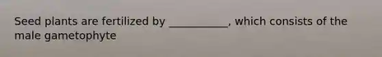 Seed plants are fertilized by ___________, which consists of the male gametophyte