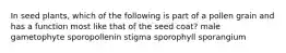 In seed plants, which of the following is part of a pollen grain and has a function most like that of the seed coat? male gametophyte sporopollenin stigma sporophyll sporangium