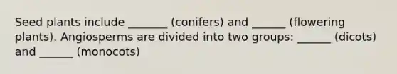 Seed plants include _______ (conifers) and ______ (flowering plants). Angiosperms are divided into two groups: ______ (dicots) and ______ (monocots)