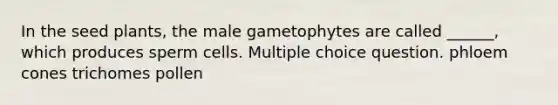 In the seed plants, the male gametophytes are called ______, which produces sperm cells. Multiple choice question. phloem cones trichomes pollen