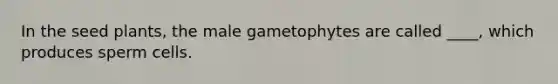 In the seed plants, the male gametophytes are called ____, which produces sperm cells.