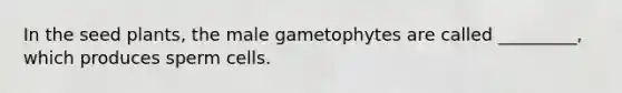 In the seed plants, the male gametophytes are called _________, which produces sperm cells.