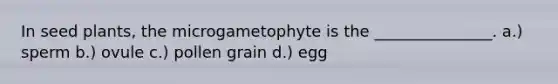 In seed plants, the microgametophyte is the _______________. a.) sperm b.) ovule c.) pollen grain d.) egg