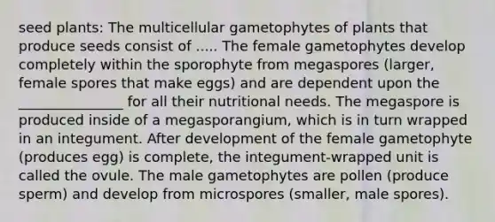 seed plants: The multicellular gametophytes of plants that produce seeds consist of ..... The female gametophytes develop completely within the sporophyte from megaspores (larger, female spores that make eggs) and are dependent upon the _______________ for all their nutritional needs. The megaspore is produced inside of a megasporangium, which is in turn wrapped in an integument. After development of the female gametophyte (produces egg) is complete, the integument-wrapped unit is called the ovule. The male gametophytes are pollen (produce sperm) and develop from microspores (smaller, male spores).