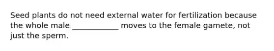 Seed plants do not need external water for fertilization because the whole male ____________ moves to the female gamete, not just the sperm.