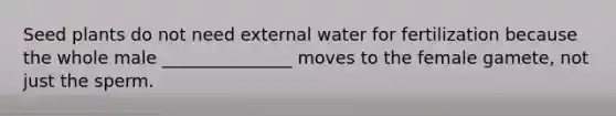 Seed plants do not need external water for fertilization because the whole male _______________ moves to the female gamete, not just the sperm.