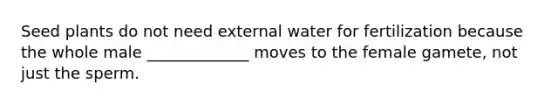 Seed plants do not need external water for fertilization because the whole male _____________ moves to the female gamete, not just the sperm.