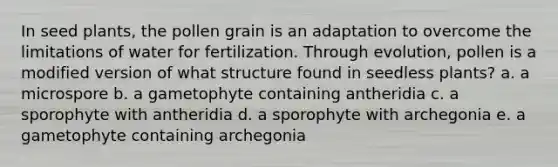 In seed plants, the pollen grain is an adaptation to overcome the limitations of water for fertilization. Through evolution, pollen is a modified version of what structure found in seedless plants? a. a microspore b. a gametophyte containing antheridia c. a sporophyte with antheridia d. a sporophyte with archegonia e. a gametophyte containing archegonia