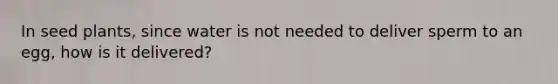In seed plants, since water is not needed to deliver sperm to an egg, how is it delivered?