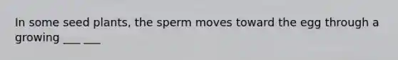 In some seed plants, the sperm moves toward the egg through a growing ___ ___