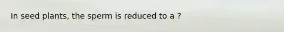 In seed plants, the sperm is reduced to a ?