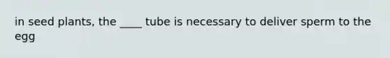 in seed plants, the ____ tube is necessary to deliver sperm to the egg