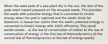 When the seed pods of a pea plant dry in the sun, the skin of the pods exert inward pressure on the encased seeds. This provides the seeds with potential energy that is converted to kinetic energy when the pod is ruptured and the seeds shoot far distances. A researcher claims that the seed's potential energy is converted to kinetic energy with 100% efficiency. This result would violate... a) the law of conservation of matter b) the law of conservation of energy c) the first law of thermodynamics d) the second law of thermodynamics e) the law of energy quality