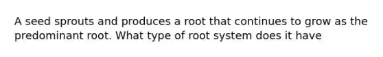 A seed sprouts and produces a root that continues to grow as the predominant root. What type of root system does it have