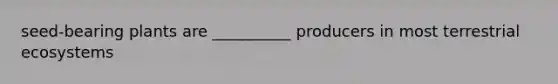 seed-bearing plants are __________ producers in most terrestrial ecosystems