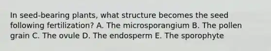 In seed-bearing plants, what structure becomes the seed following fertilization? A. The microsporangium B. The pollen grain C. The ovule D. The endosperm E. The sporophyte