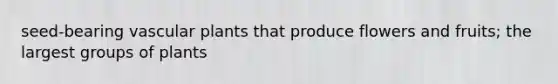 seed-bearing vascular plants that produce flowers and fruits; the largest groups of plants