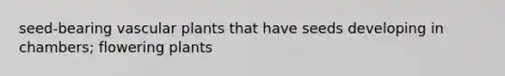 seed-bearing <a href='https://www.questionai.com/knowledge/kbaUXKuBoK-vascular-plants' class='anchor-knowledge'>vascular plants</a> that have seeds developing in chambers; flowering plants