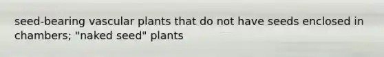 seed-bearing <a href='https://www.questionai.com/knowledge/kbaUXKuBoK-vascular-plants' class='anchor-knowledge'>vascular plants</a> that do not have seeds enclosed in chambers; "naked seed" plants