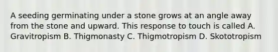 A seeding germinating under a stone grows at an angle away from the stone and upward. This response to touch is called A. Gravitropism B. Thigmonasty C. Thigmotropism D. Skototropism