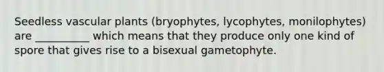 Seedless vascular plants (bryophytes, lycophytes, monilophytes) are __________ which means that they produce only one kind of spore that gives rise to a bisexual gametophyte.