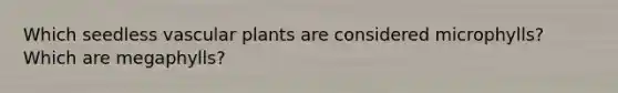 Which seedless vascular plants are considered microphylls? Which are megaphylls?