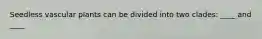 Seedless vascular plants can be divided into two clades: ____ and ____