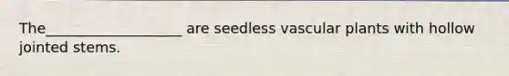 The___________________ are seedless vascular plants with hollow jointed stems.