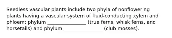 Seedless vascular plants include two phyla of nonflowering plants having a vascular system of fluid-conducting xylem and phloem: phylum ________________ (true ferns, whisk ferns, and horsetails) and phylum ________________ (club mosses).