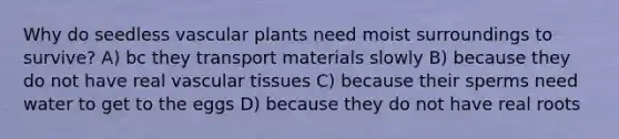 Why do seedless <a href='https://www.questionai.com/knowledge/kbaUXKuBoK-vascular-plants' class='anchor-knowledge'>vascular plants</a> need moist surroundings to survive? A) bc they transport materials slowly B) because they do not have real <a href='https://www.questionai.com/knowledge/k1HVFq17mo-vascular-tissue' class='anchor-knowledge'>vascular tissue</a>s C) because their sperms need water to get to the eggs D) because they do not have real roots