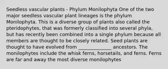 Seedless vascular plants - Phylum Monilophyta One of the two major seedless vascular plant lineages is the phylum Monilophyta. This is a diverse group of plants also called the pteridophytes, that was formerly classified into several phyla, but has recently been combined into a single phylum because all members are thought to be closely related. Seed plants are thought to have evolved from ______________ ancestors. The monilophytes include the whisk ferns, horsetails, and ferns. Ferns are far and away the most diverse monilophytes