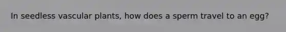 In seedless <a href='https://www.questionai.com/knowledge/kbaUXKuBoK-vascular-plants' class='anchor-knowledge'>vascular plants</a>, how does a sperm travel to an egg?