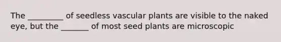 The _________ of seedless <a href='https://www.questionai.com/knowledge/kbaUXKuBoK-vascular-plants' class='anchor-knowledge'>vascular plants</a> are visible to the naked eye, but the _______ of most seed plants are microscopic