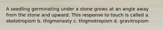 A seedling germinating under a stone grows at an angle away from the stone and upward. This response to touch is called a. skototropism b. thigmonasty c. thigmotropism d. gravitropism